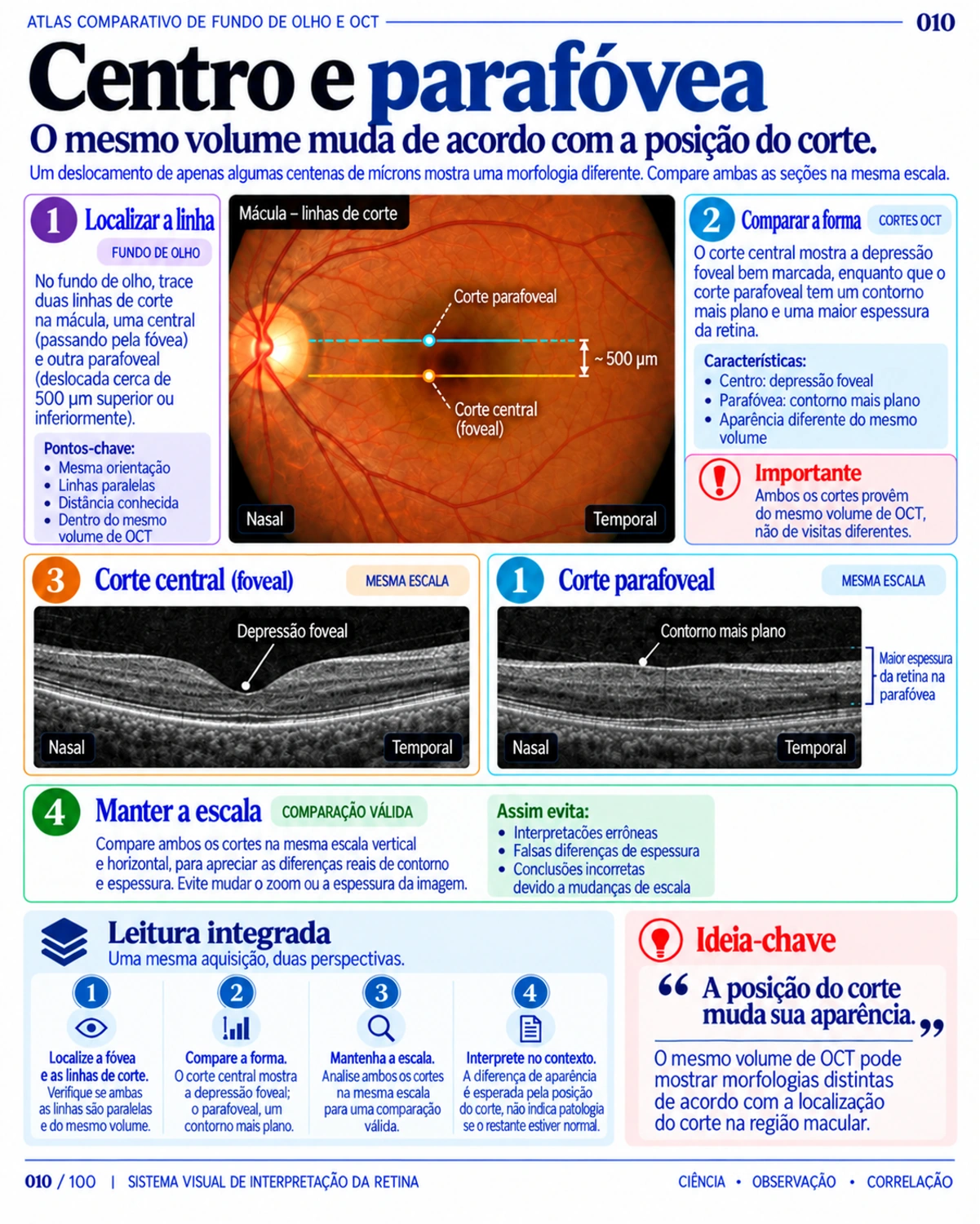Amostra em português do material de Retina: Atlas Comparativo · página 10.