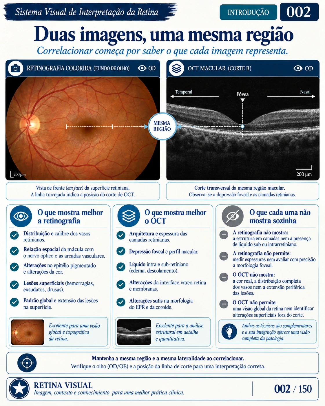 Amostra em português do material de Retina: Sistema Visual · amostra 2.