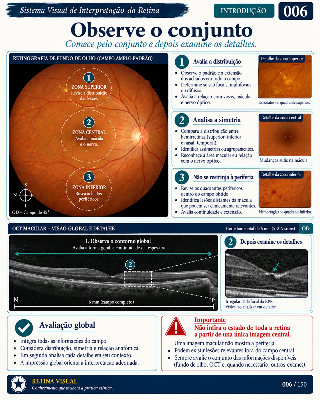 Amostra em português do material de Retina: Sistema Visual · amostra 6.